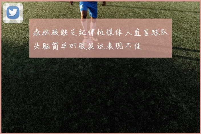 森林狼缺乏纪律性媒体人直言球队头脑简单四肢发达表现不佳